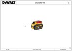 DEWALT BATTERY (Type 1)