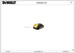 DEWALT BATTERY (Type 1)