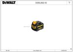 DEWALT BATTERY (Type 1)