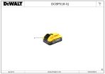 DEWALT BATERIE (Type 2)