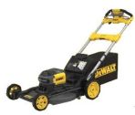 DEWALT MASINA DE TUNS GAZON CU ACUMULATOR (Type 1)