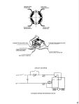 BLACK+DECKER DRILL (Type 4)