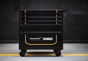 DEWALT DULAP PE ROLE (Type 1)