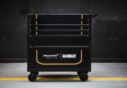 DEWALT DULAP PE ROLE (Type 1)